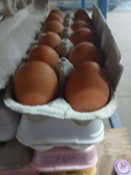 4 Doz Small Brown Eating Eggs