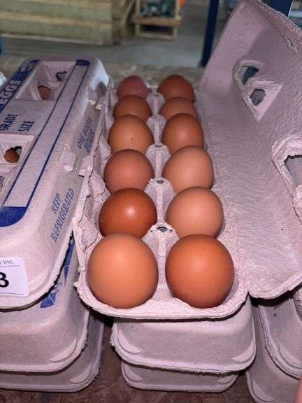 3 Doz Brown Eating Eggs