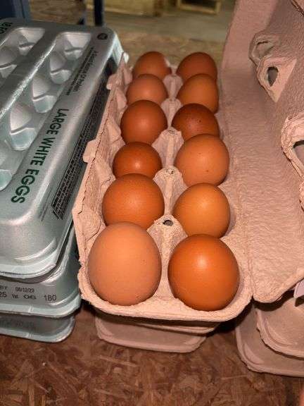 3 Doz Brown Eating Eggs