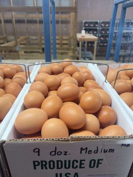 9 Doz Medium Brown Eating Eggs