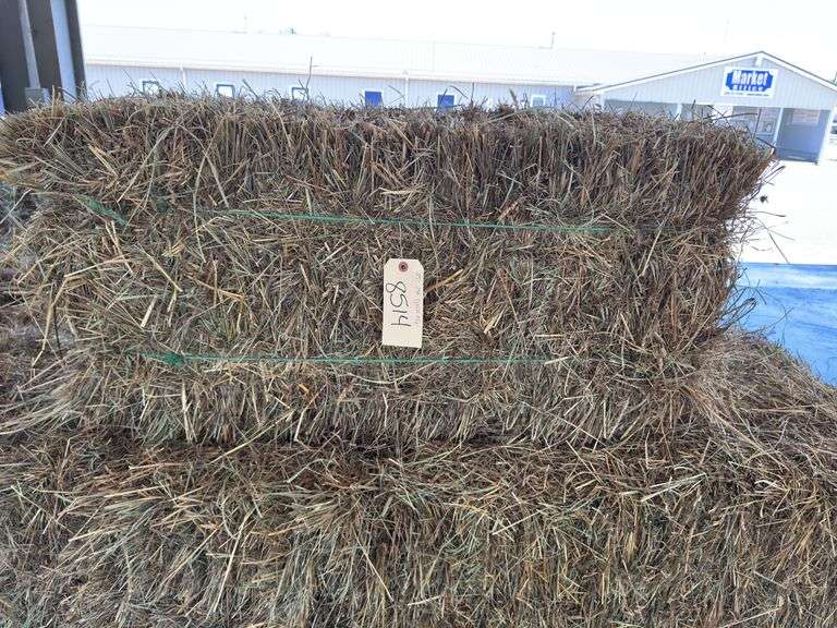 25 1st Grass Mix