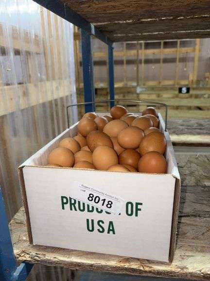 9 Doz Medium Brown Eating Eggs