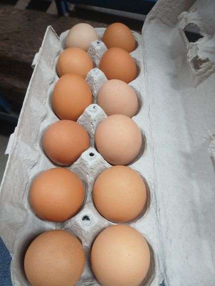 4 Doz Small Brown Eating Eggs