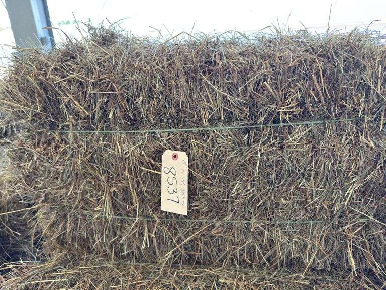 18 1st Timothy Orchard Mix