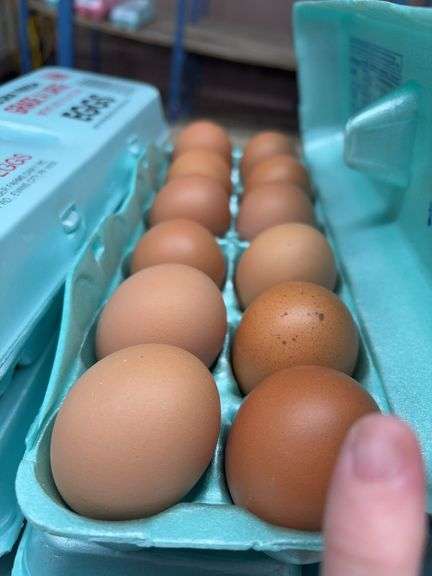 3 Doz Large Brown Eating Eggs