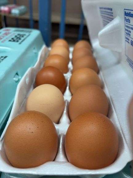 3 Doz Large Brown Eating Eggs