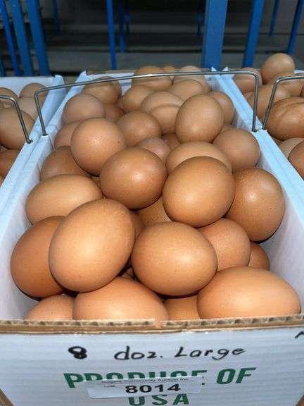 8 Doz Large Brown Eating Eggs