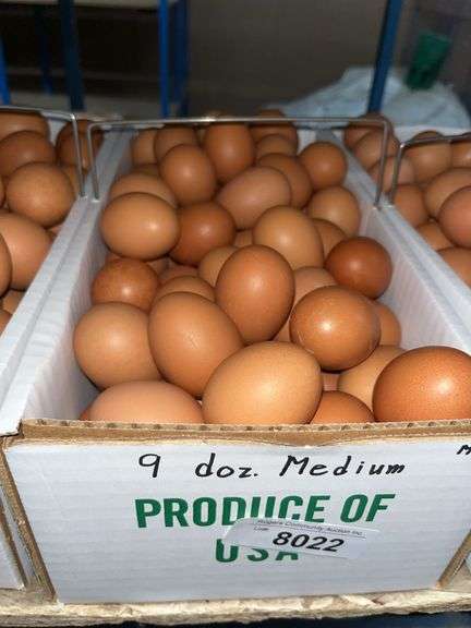 9 Doz Medium Brown Eating Eggs