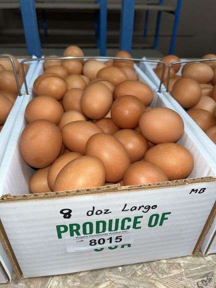 8 Doz Large Brown Eating Eggs