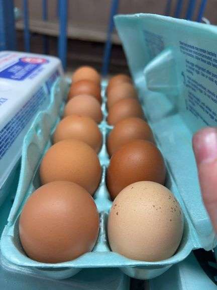 3 Doz Large Brown Eating Eggs