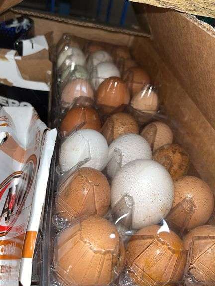 8 Doz Mixed Eating Eggs