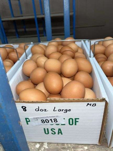 8 Doz Large Brown Eating Eggs