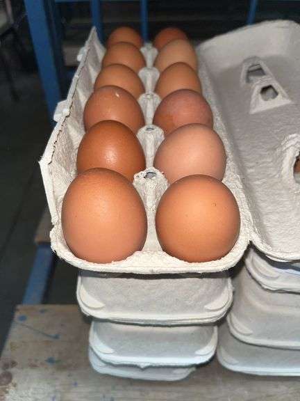 4 Doz Brown Eating Eggs