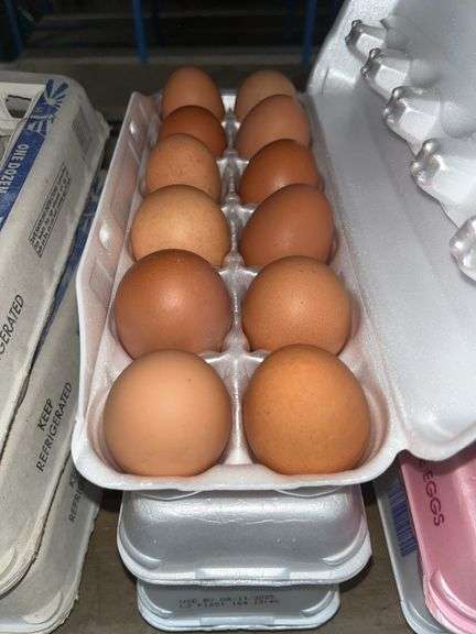 3 Doz Brown Eating Eggs