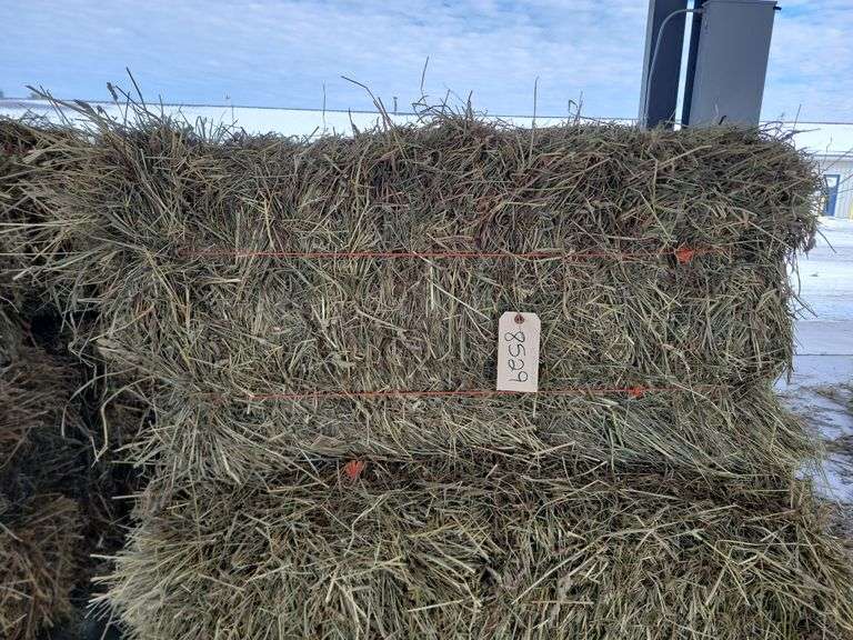 15 1st Timothy Orchard Grass Mix