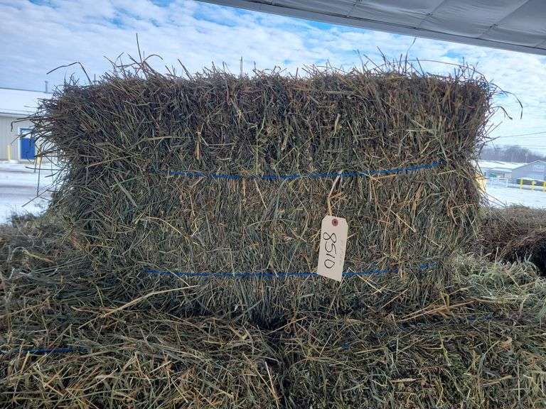 25 2nd Alfalfa Mix