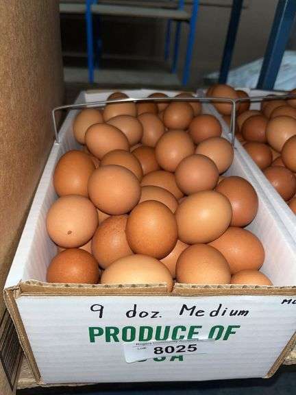 9 Doz Medium Brown Eating Eggs