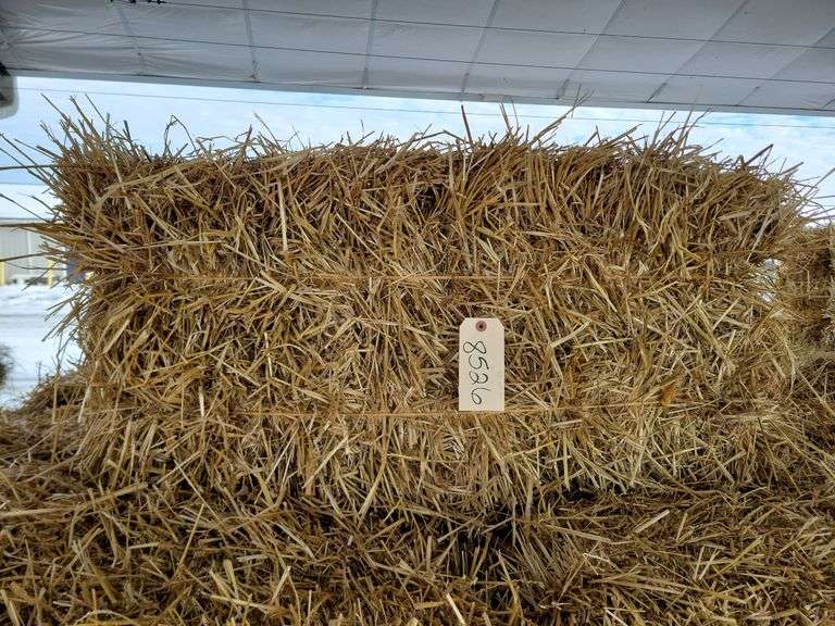 40 Wheat Straw