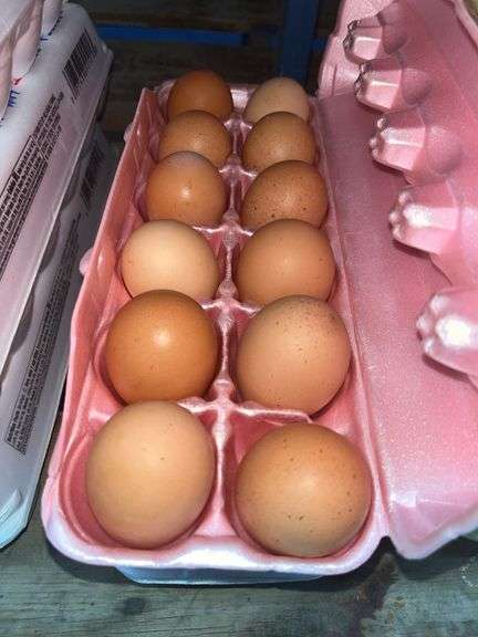 2 Doz Brown Eating Eggs