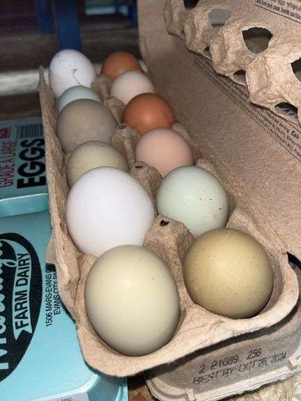 2 Doz Mixed Eating Eggs