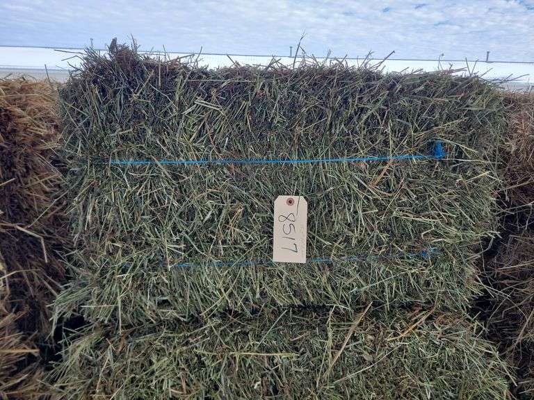15 3rd Alfalfa Grass