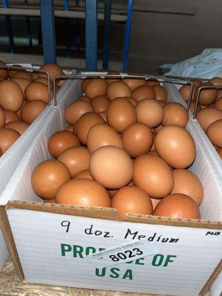 9 Doz Medium Brown Eating Eggs