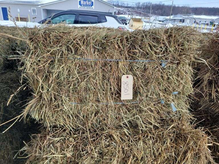 15 1st Orchard Grass Timothy Mix