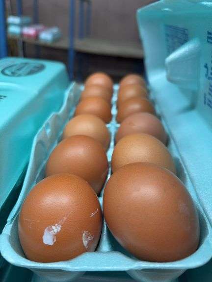 3 Doz Large Brown Eating Eggs