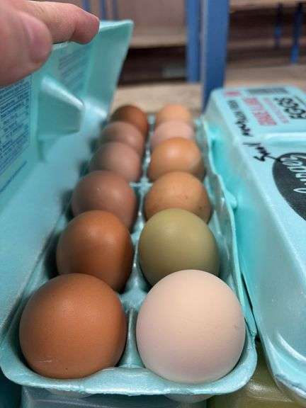2 Doz Medium Mixed Eating Eggs