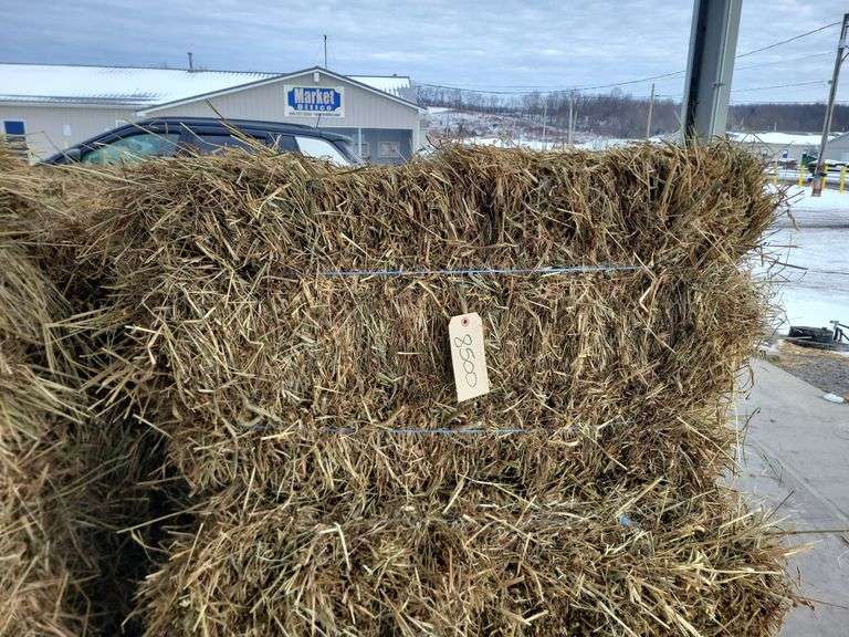 15 1st Orchard Grass Timothy Mix