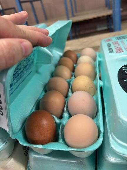 2 Doz Medium Mixed Eating Eggs