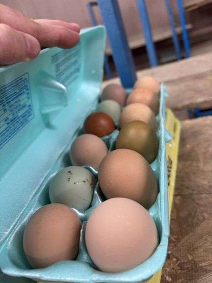 2 Doz Small Mixed Eating Eggs