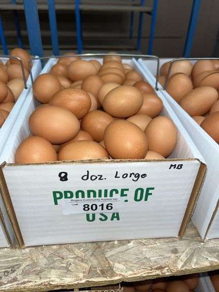 8 Doz Large Brown Eating Eggs