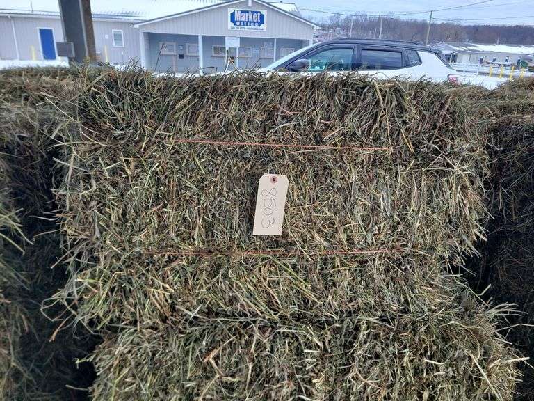 15 2nd Orchard Grass Alfalfa Timothy Mix