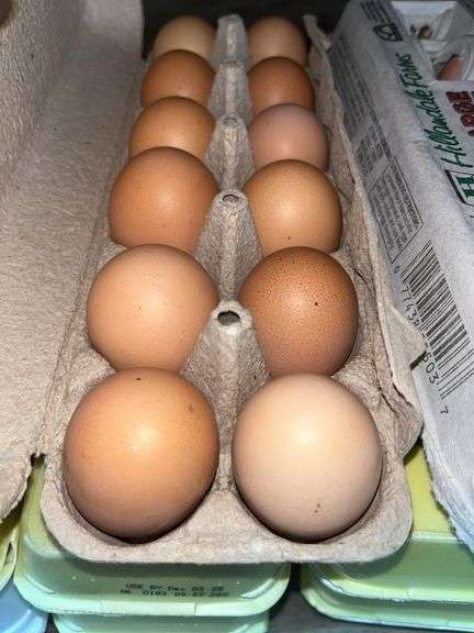 3 Doz Brown Eating Eggs