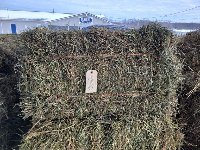 15 2nd Orchard Grass Alfalfa Timothy Mix