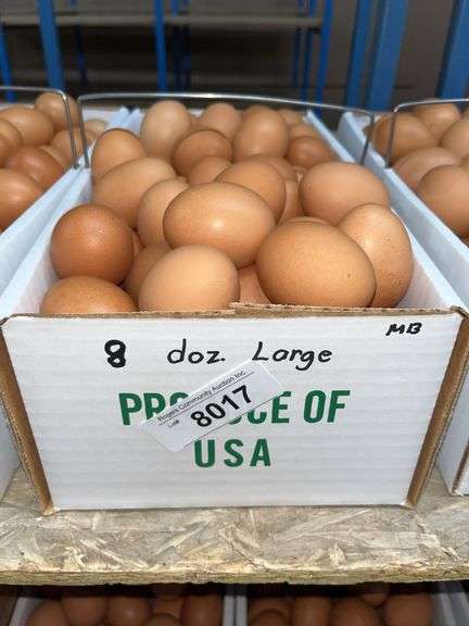 8 Doz Large Brown Eating Eggs