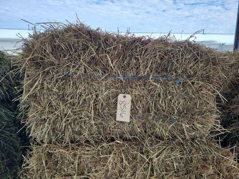 15 1st Timothy Alfalfa