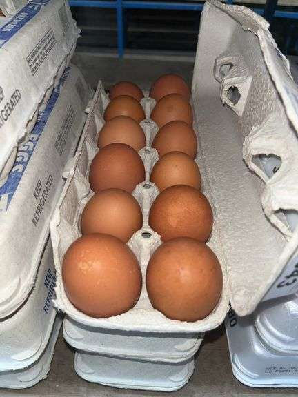3 Doz Brown Eating Eggs