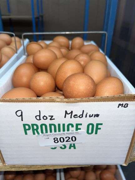 9 Doz Medium Brown Eating Eggs