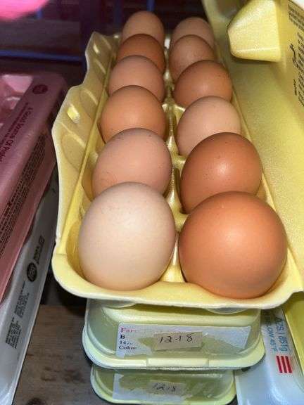 3 Doz Brown Eating Eggs