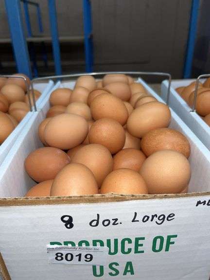 8 Doz Large Brown Eating Eggs