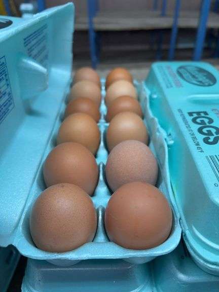 3 Doz Large Brown Eating Eggs