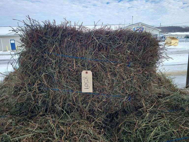 25 2nd Alfalfa Mix