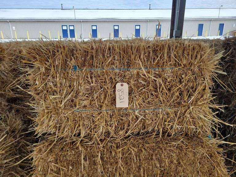 15 Wheat Straw