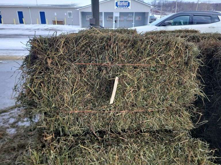 15 2nd Orchard Grass Alfalfa Timothy Mix