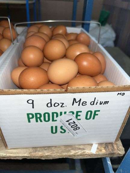 9 Doz Medium Brown Eating Eggs