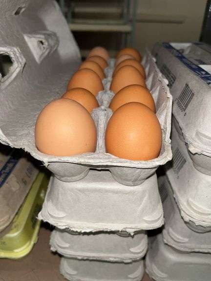 4 Doz Large Brown Eating Eggs
