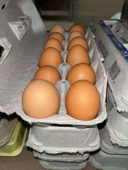 4 Doz Large Brown Eating Eggs