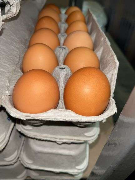 4 Doz Large Brown Eating Eggs